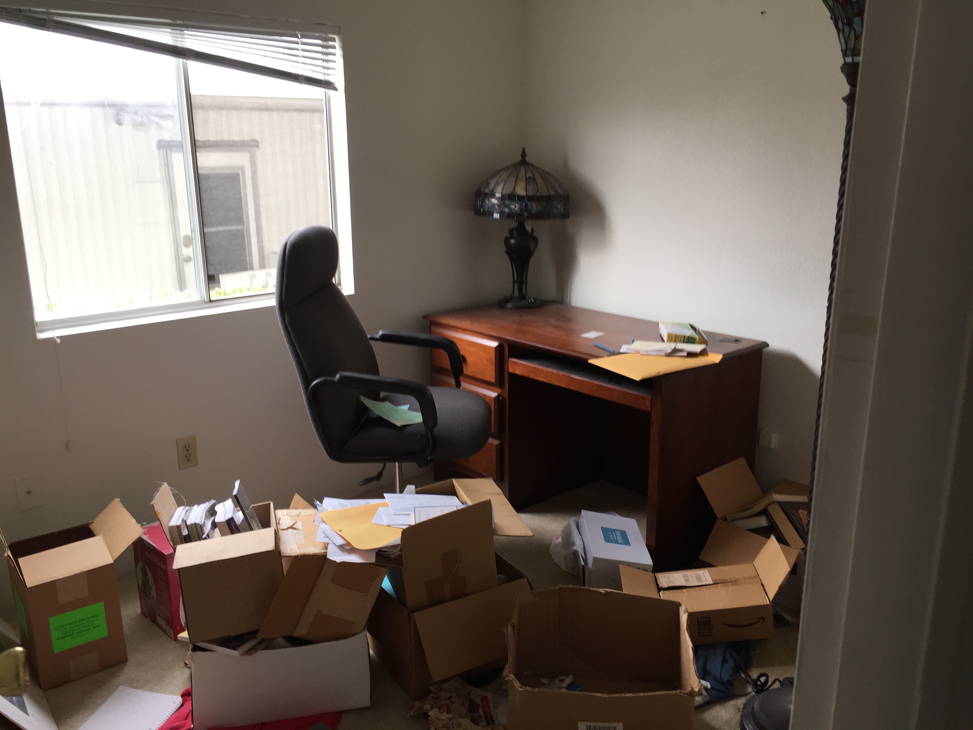 hoarder cleaning northridge