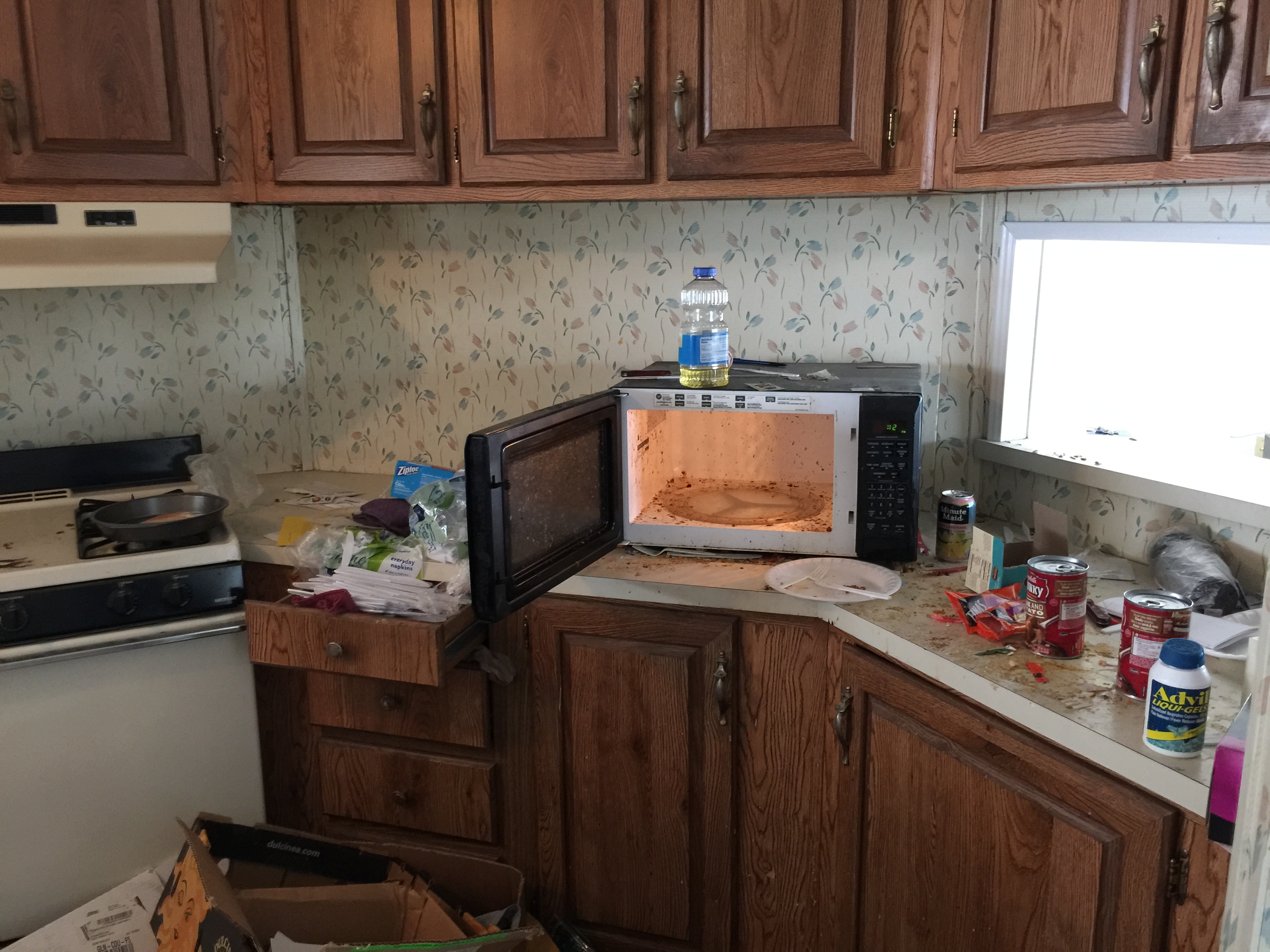 food hoarder kitchen cleaning northridge